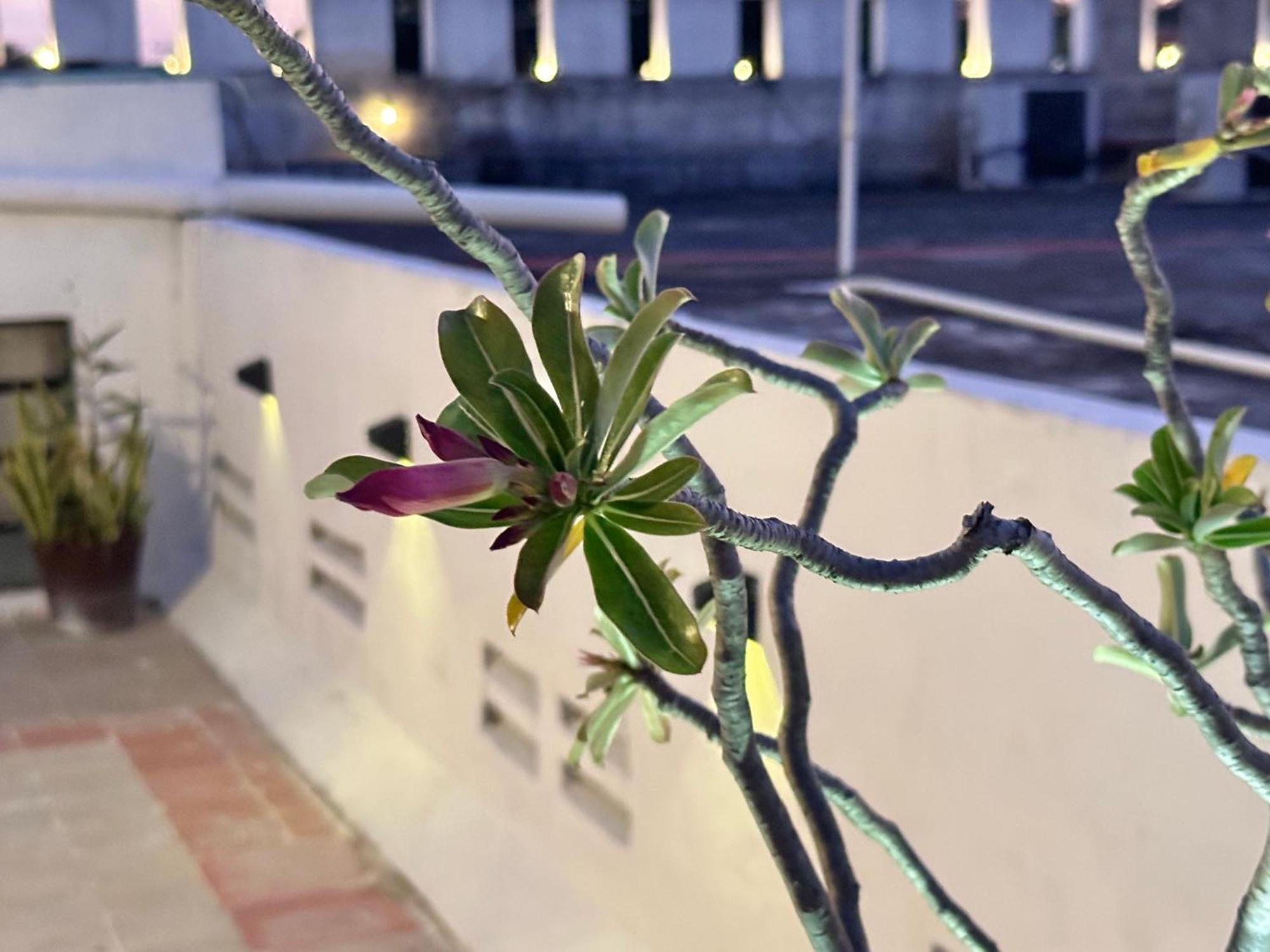 Casa Vidal Hotel Valladolid  Eksteriør billede