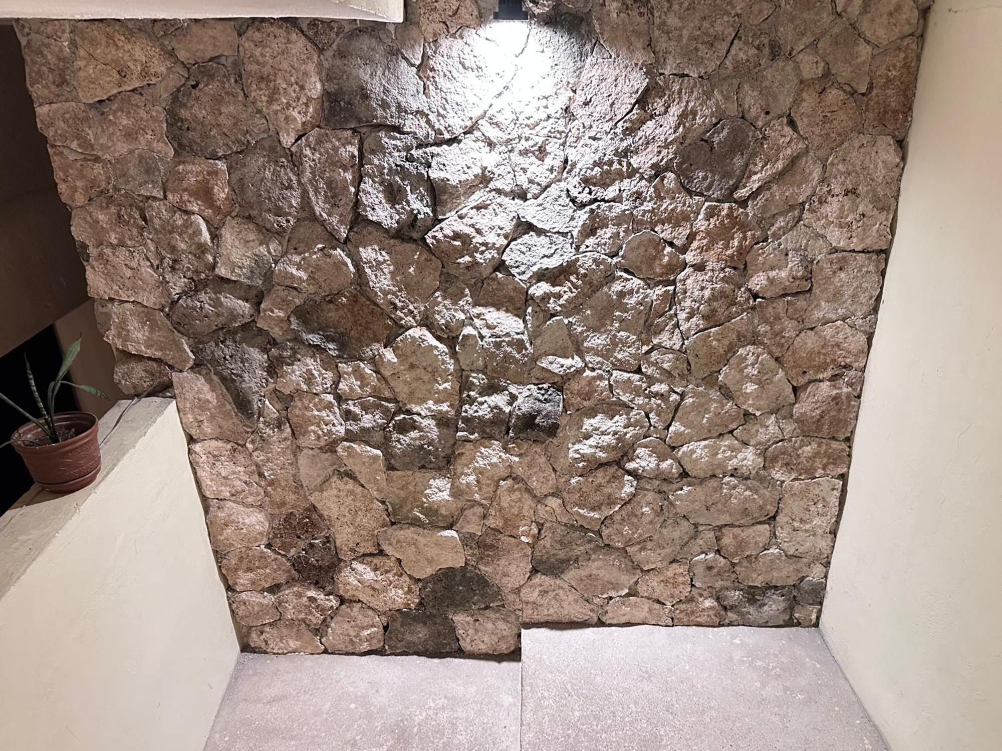 Casa Vidal Hotel Valladolid  Eksteriør billede